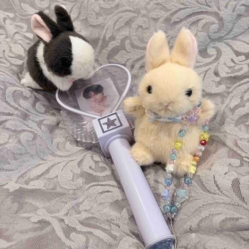 ペンラ用のビーズストラップを作りました。
ママのオタク趣味に付き合ってくれる優しい2匹🐰 みるくくんは一番星に興味津々