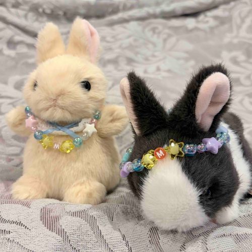 ふたり用も作った🐰