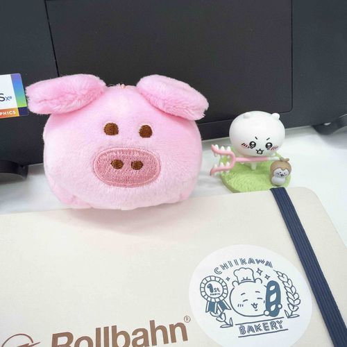今日はだいじょうぶ〜に来てもらったよ🐷
友情出演：ちいかわとカブトムシ