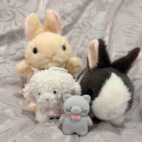 かわいいガチャガチャを見つけた🥺✨

たっとんのフロッキーフィギュア🐱
じょぜまるくん🐶