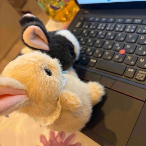 ママのお仕事お手伝いするよ〜🐰💻
