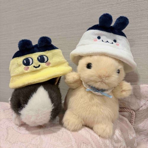 まめっちとみみっちのバケハを買いました🎶
でも、お耳の長いふたりには少し窮屈かも🥹
