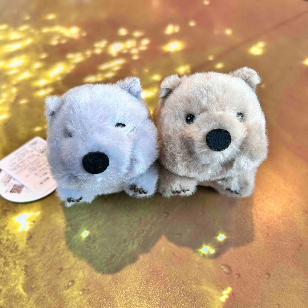 ウォンちゃんがもう１匹ふえたパンよ！🐼だから、右がきなこちゃん(弟)、左がごまちゃん(兄)ということになったパン！おにいちゃんは、なんだかのほほん、おっとりしてそうだパン👀
