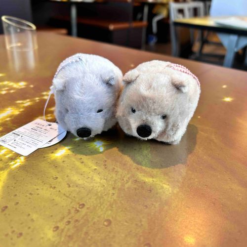 ウォンちゃんがもう１匹ふえたパンよ！🐼だから、右がきなこちゃん(弟)、左がごまちゃん(兄)ということになったパン！おにいちゃんは、なんだかのほほん、おっとりしてそうだパン👀