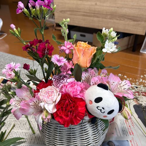 お花のアレンジメントですマン🌷花材はカーネーション他とぼく🐼✌️