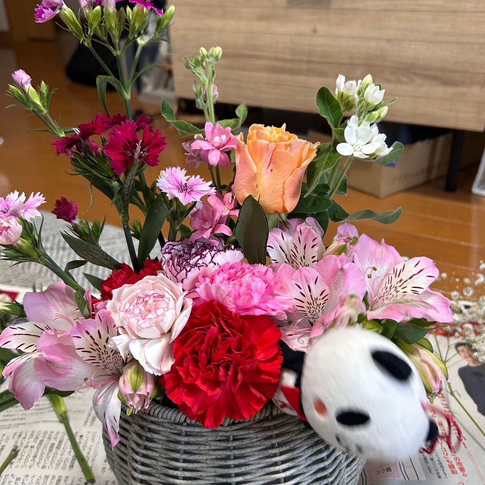 お花のアレンジメントですマン🌷花材はカーネーション他とぼく🐼✌️