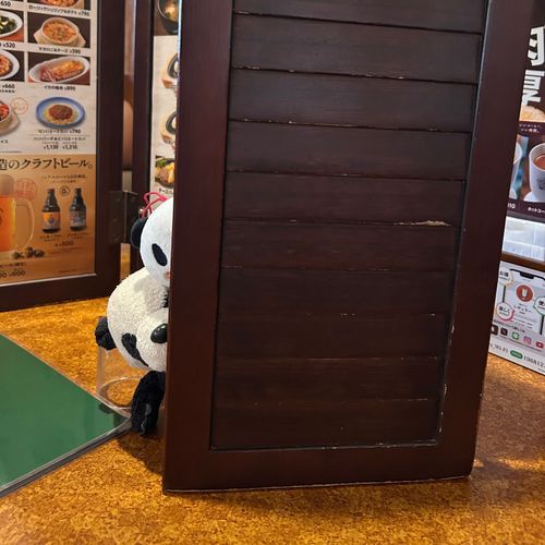 こっそりドンキーだパン！👀🐾