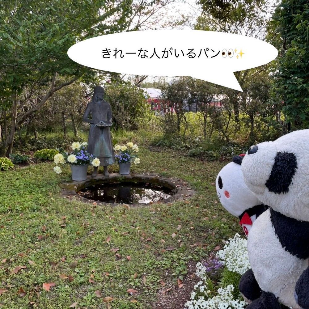 少し前に見に行ったチューリップだパン🐼🌷💛