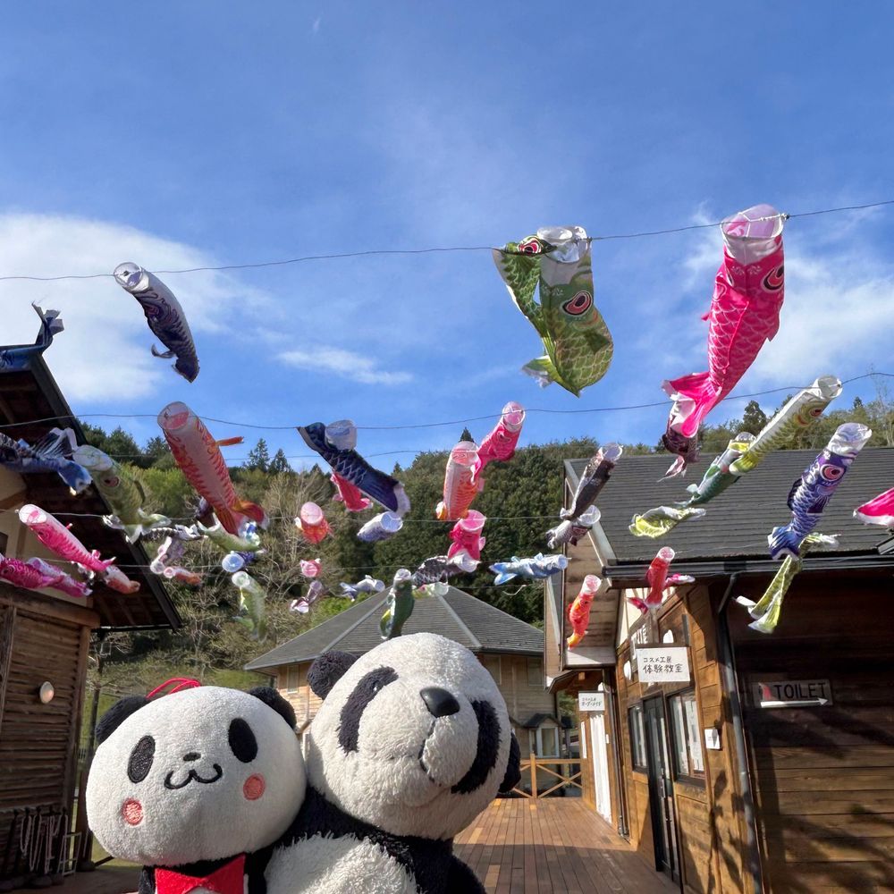 こどもの日に、遊びに行ったパン🐼🐾ぱたーごるふっていうのにチャレンジしたら、マンちゃんが入っててびっくりしたパン！👀⛳️