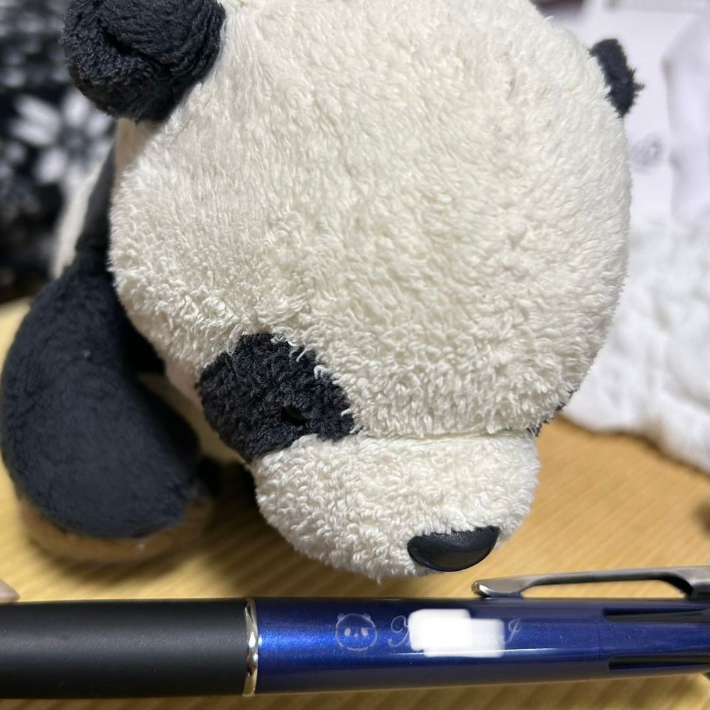 家来が買ったペン🖋️ぼくのお顔が描いてあるパン！！👀✨ぼくのことだいすきだから、お名前と一緒に入れてもらったんだって！うれしいパン〜🐼❤️❤️