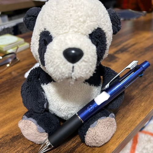 家来が買ったペン🖋️ぼくのお顔が描いてあるパン！！👀✨ぼくのことだいすきだから、お名前と一緒に入れてもらったんだって！うれしいパン〜🐼❤️❤️