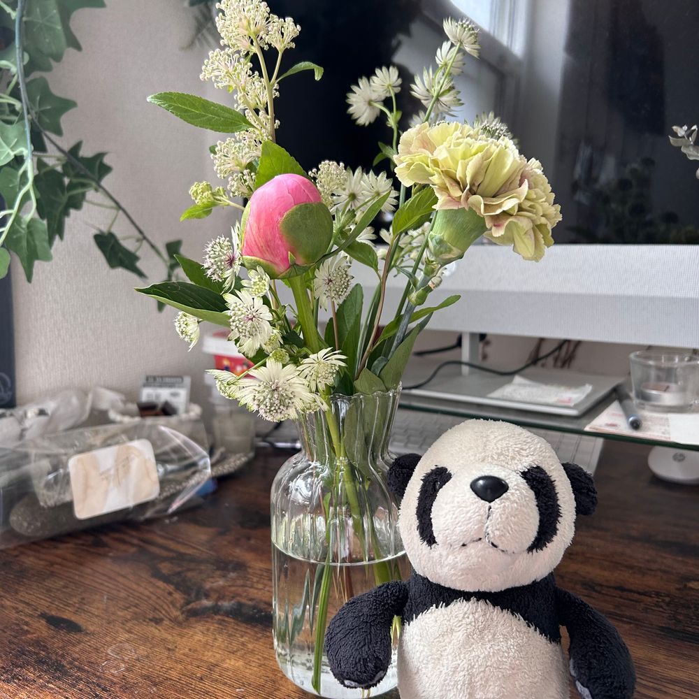 先週末に買ったお花だパン🐼🌼さいきんよく見るしゃくやくさん、すぐにぶわって開いてステキだったパン❣️✨数日したら花びらがごそって落ちてて、崩れるって言うらしいけど、足元にたくさん広がってるのも見応えがあったパン！！👀