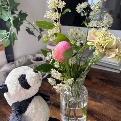 先週末に買ったお花だパン🐼🌼さいきんよく見るしゃくやくさん、すぐにぶわって開いてステキだったパン❣️✨数日したら花びらがごそって落ちてて、崩れるって言うらしいけど、足元にたくさん広がってるのも見応えがあったパン！！👀