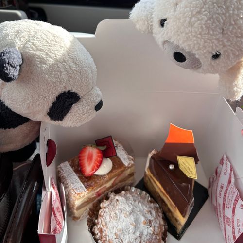 このまえ、とっってもおいしいケーキ買ってもらったんだパン〜❣️🍰見た目もきれいなんだけど、お味も甘くておいしいうえに、なんだかリッチな感じもしたんだパン〜!!!👀💖