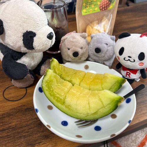 みんな、メロンにメロメロだパン〜❣️🐼🍈✨