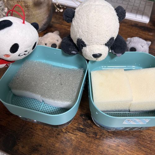 ご主人さま、また水耕栽培にちゃれんじするみたいだパン👀🐼🌱がんばってほしいパン〜ぼくも、お水あげたり、かんさつしたり、お手伝いがんばるパン🐾🌟
