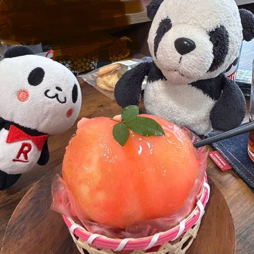 「すっごく桃なスイーツを食べたパン❣️みずみずしくて甘くておいしいし、下にあるタルト生地もとってもおいしくて、大好きになっちゃったパン!!🐼✨」「しばらく毎日これでいいですマン👀💕」
