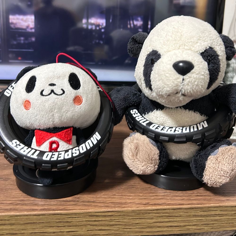 家来の車が新しくなって、ぼくの特等席がなくなっちゃったから、増設してもらったパン❣️🛻タイヤ、かわいいパン〜🛞✨