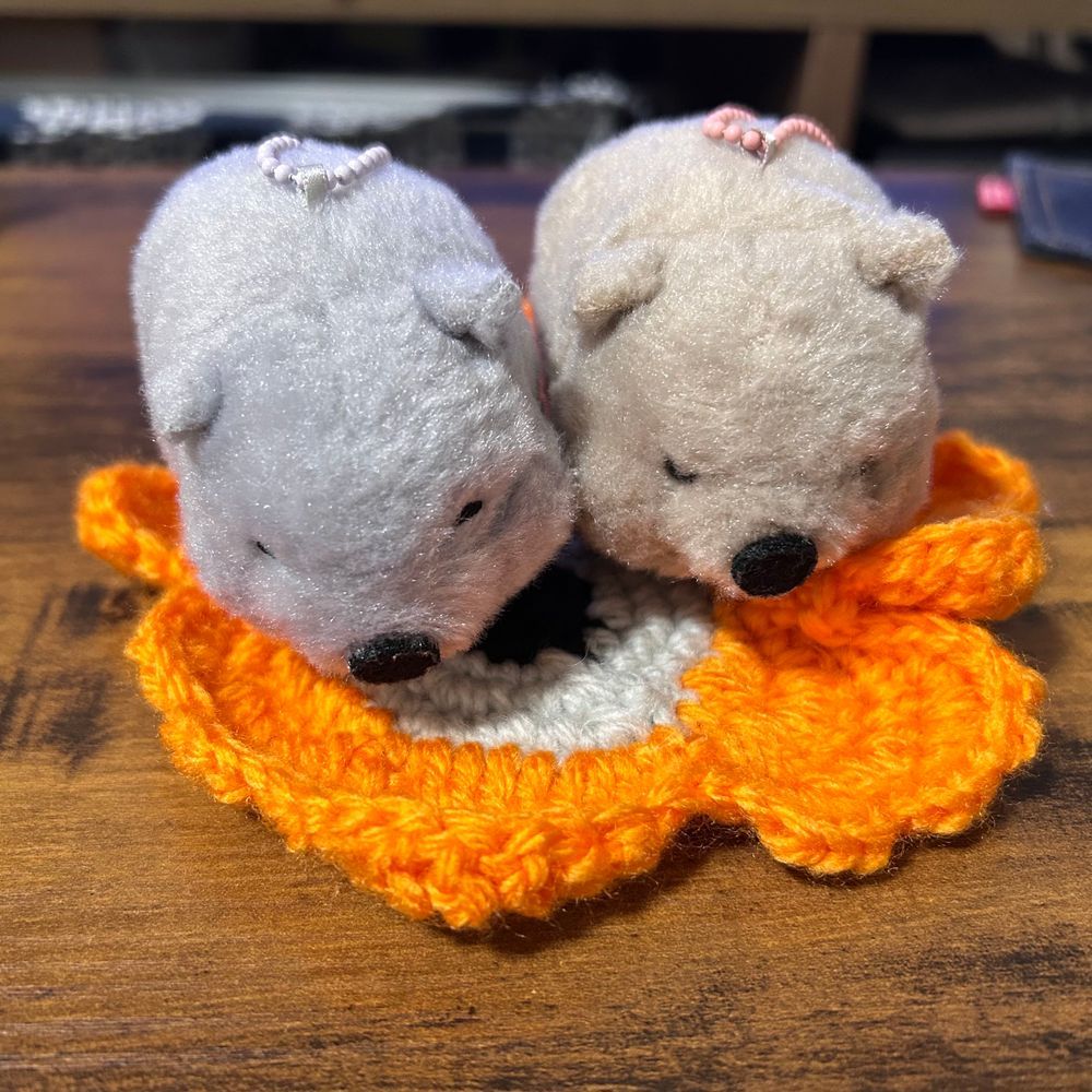「ご主人がお花を編んだみたいだウォン〜〜👀(弟)」「まりめこ、、とかいうやつらしいウォンねぇ…(兄)」「ぼくたちのベッドになるかなぁ？」「う〜ん、ちょっと寝てみるウォン…」「「💤💤💤」」