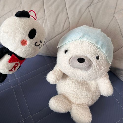 「う〜ん…う〜ん…🦭」「ん?ラッシーちゃんどうしたですマン?👀」「なんだか、ねっちゅしょ、みたいラシ〜…?😵💦」「うーむ、かわいそうに…ラッシーちゃんは海の生き物だから…🧊安静にしておくですマンよ🐼」「みんなも、きをつける、ラシ〜〜…」