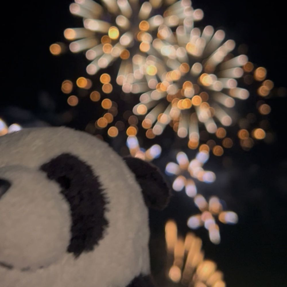 花火大会に行ってきたパン！🎇✨かくごしたより暑くなくてたすかったパン👀動画からの切り抜きだからちょっとボケてるけど…とってもキレイですてきだったパンよ❣️❣️たのしいなつの思い出ができたパン🐼🌻💕