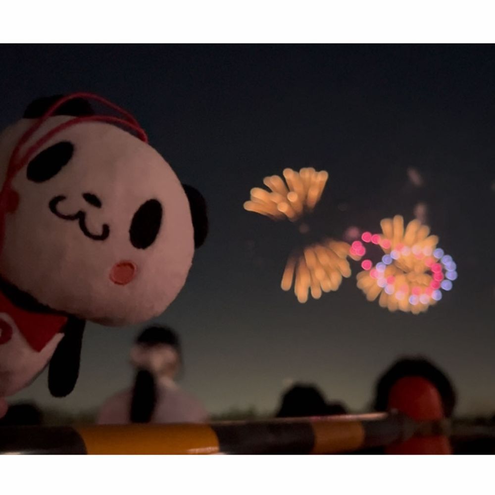 花火大会に行ってきたパン！🎇✨かくごしたより暑くなくてたすかったパン👀動画からの切り抜きだからちょっとボケてるけど…とってもキレイですてきだったパンよ❣️❣️たのしいなつの思い出ができたパン🐼🌻💕