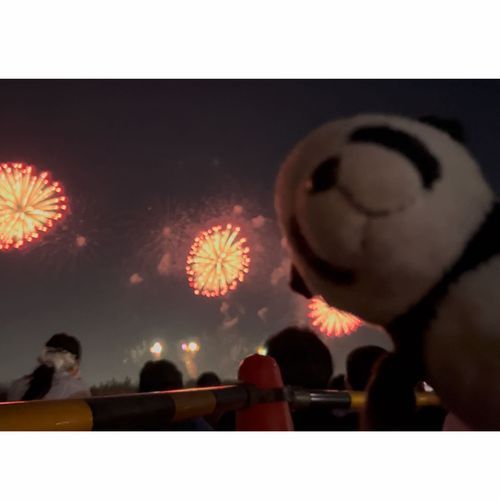 花火大会に行ってきたパン!🎇✨かくごしたより暑くなくてたすかったパン👀動画からの切り抜きだからちょっとボケてるけど…とってもキレイですてきだったパンよ❣️❣️たのしいなつの思い出ができたパン🐼🌻💕