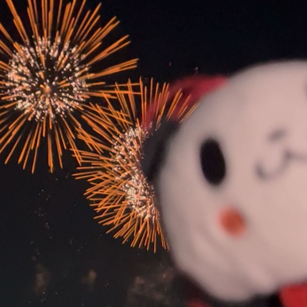 花火大会に行ってきたパン！🎇✨かくごしたより暑くなくてたすかったパン👀動画からの切り抜きだからちょっとボケてるけど…とってもキレイですてきだったパンよ❣️❣️たのしいなつの思い出ができたパン🐼🌻💕