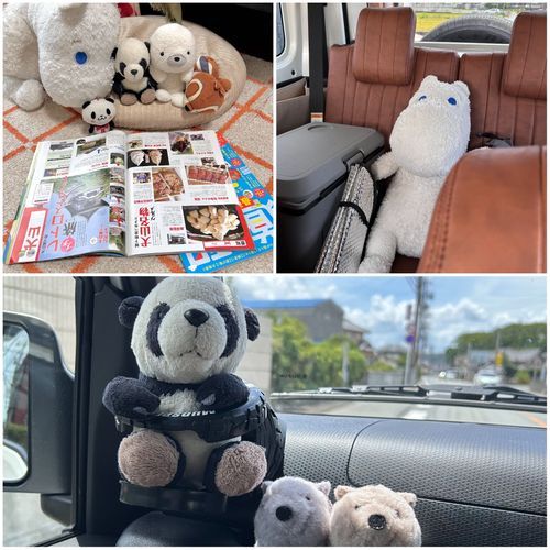 今日は愛知県に遊びに行ったパン❣️竹島ファンタジー館というところを見つけてすごく行きたくなったから、きゅうきょ向かったんだパン🐼ラッシーちゃん🦭がとてもよろこんでたパン👀💖ファンタジー館のようすは、またあした載せるパン🐚♪