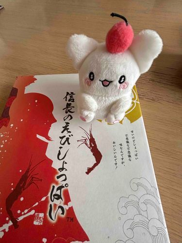 お土産頂いたよ〜
しょっぱいのかな💮