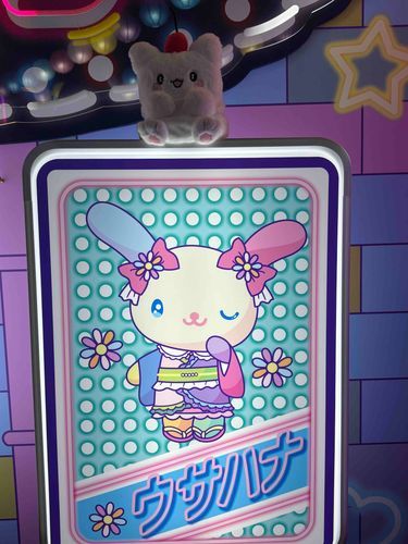 今日は、まるまるとウサハナちゃんのお誕生日🎂なのでピューロランドでお祝いです