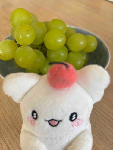 シャインマスカット食べるよ〜💮