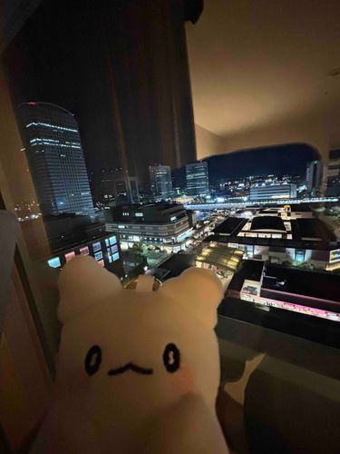 16階に泊まったの💮👻