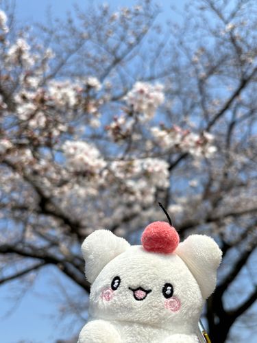 お花見🌸行ったよ💮👻