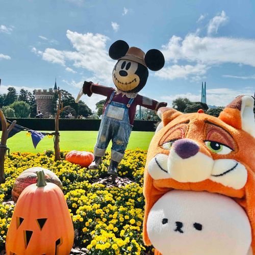 きのう でぃずにーはろうぃん いったよ🎃 しんじられないくらい ひとがたくさんいたの