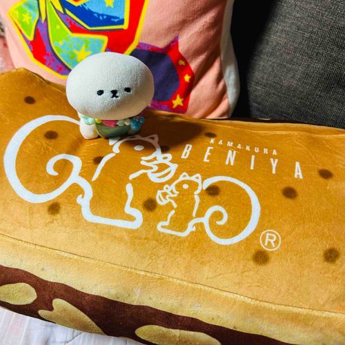 ゆめのようなくっしょんが とどいたよ🐿✨