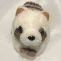 たぬちゃん