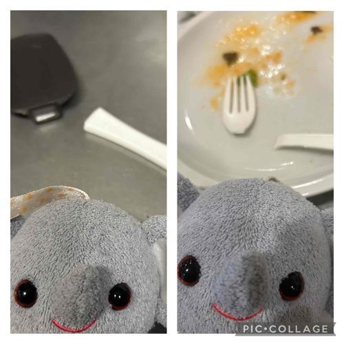 ん〜、なんでぞうちゃんが使うと折れるのー？