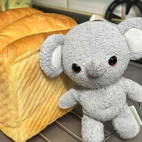 ぞうちゃん食パン焼いたけども〜誰か味見する〜？