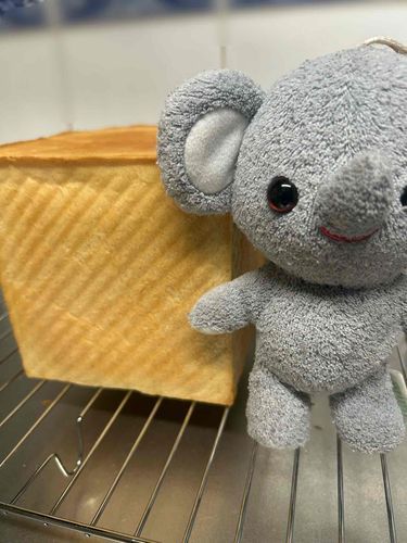 今日は真四角！昨日はフタを閉め忘れたの〜