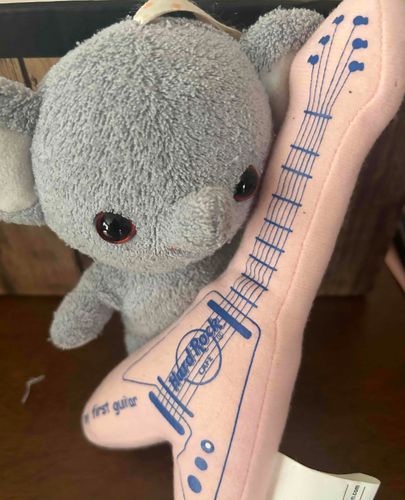 ぞうちゃんバンド組もうかなって思ってるの〜🎸
