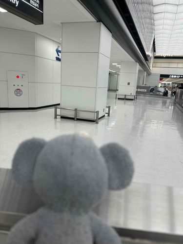 お友達待ってるんだけどもまだ来ないの～✈️
