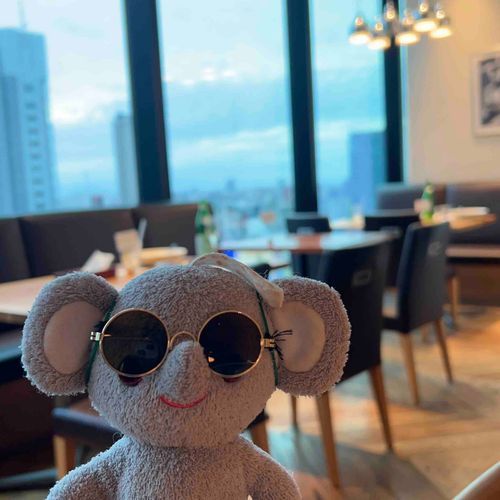 みんなー！お久しぶり〜✨ぞうちゃんはオシャレして👓都会のレストランに来たのー