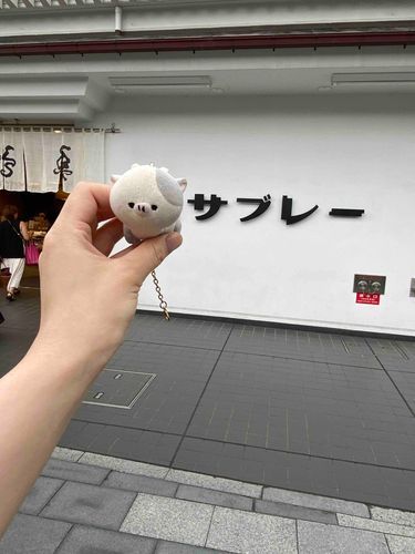 ｳｼﾁｬﾝサブレー