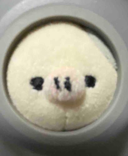 まんまるｳｼﾁｬﾝ