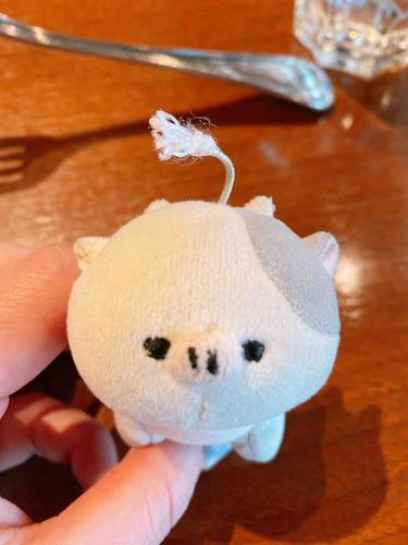 ストラップのところ取れちゃった😢