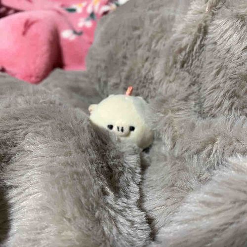もふもふで暖かいね☺️