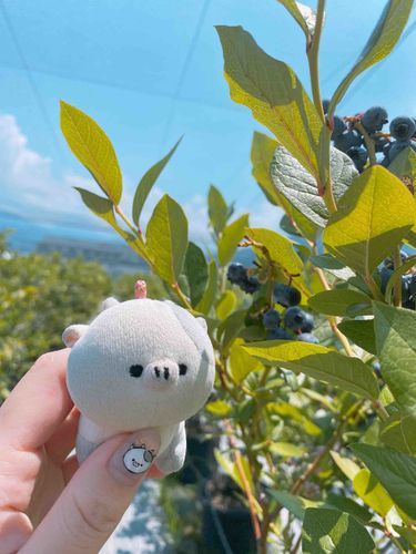 天気いいねｳｼﾁｬﾝ‼️☀️
