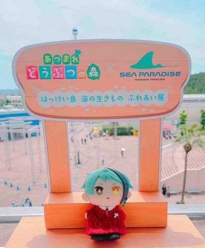 「はっけいじま」
うみのかぜ　きもちいいですぬ〜🏝️🌊✨