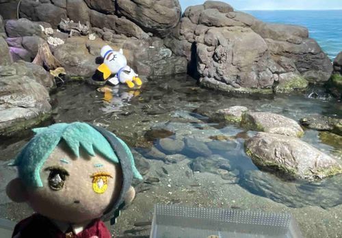「ひょうちゃく」
あんなところに…だれでしょう…？🌊🚢🌊